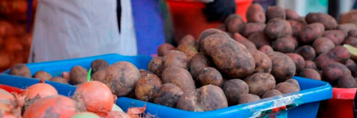 Uzbekistan stockpiles about 627,000 tons of agricultural products for winter and spring months Uzbekistan stockpiles about 627,000 tons of agricultural products for winter and spring months