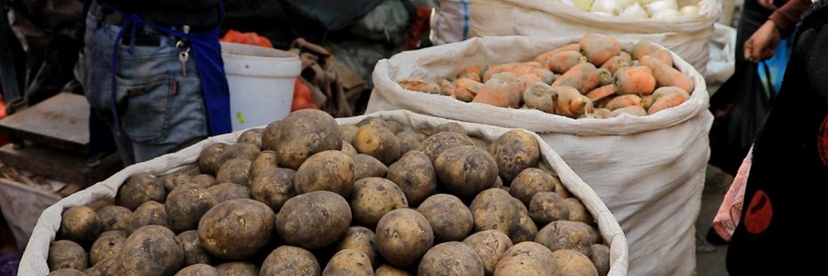 Uzbekistan imported nearly $8 million worth of potatoes in January
