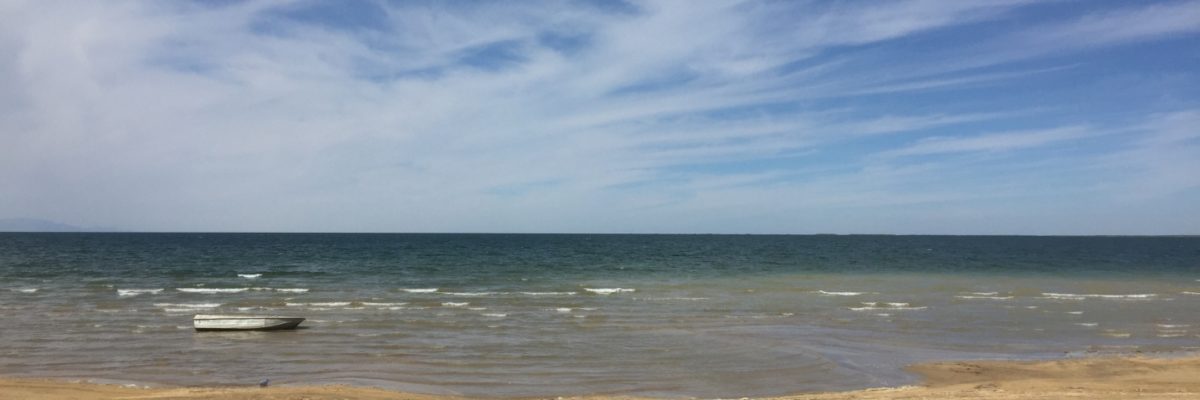 Aydar-Arnasay lake system to be transferred to a private investor